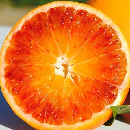 Casa Terme Appartamento