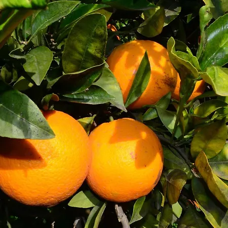 Appartamento Casa Terme Sciacca