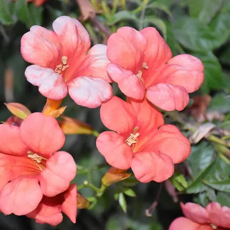 Appartamento Casa Terme