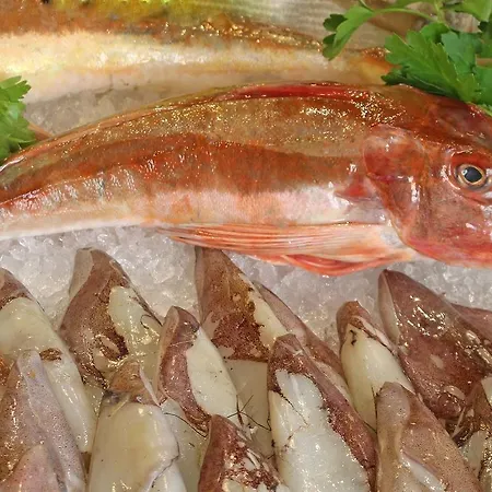 Appartamento Casa Terme